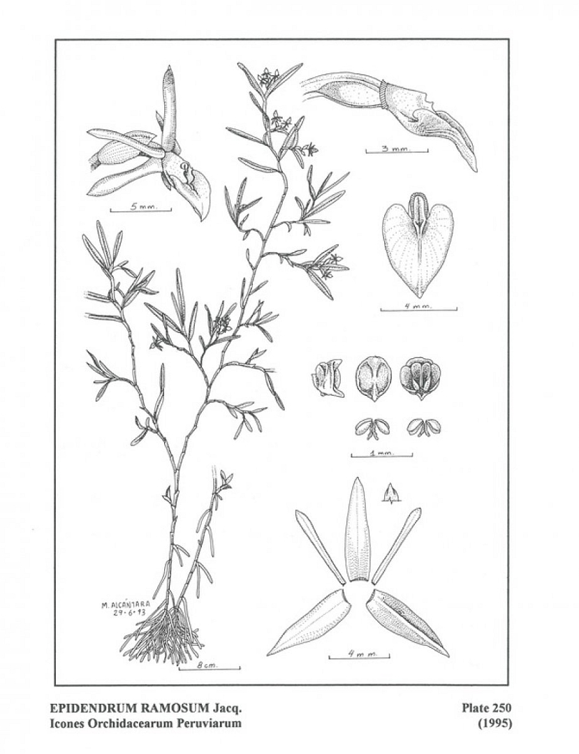 no HD illustration available (3)