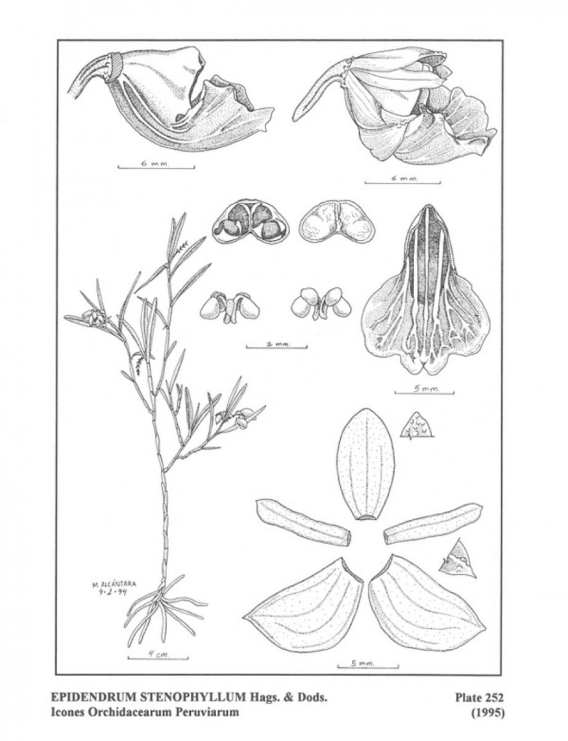 no HD illustration available (3)