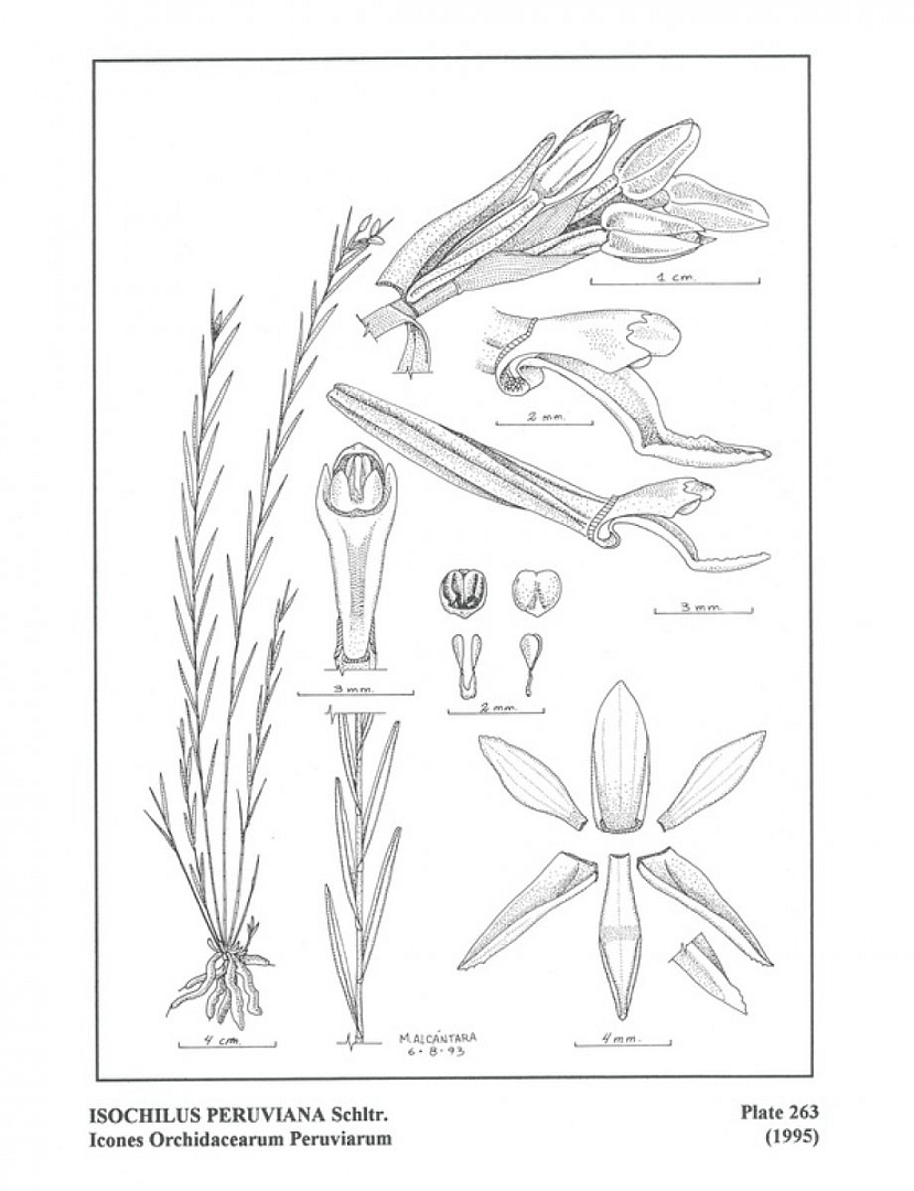 no HD illustration available (3)