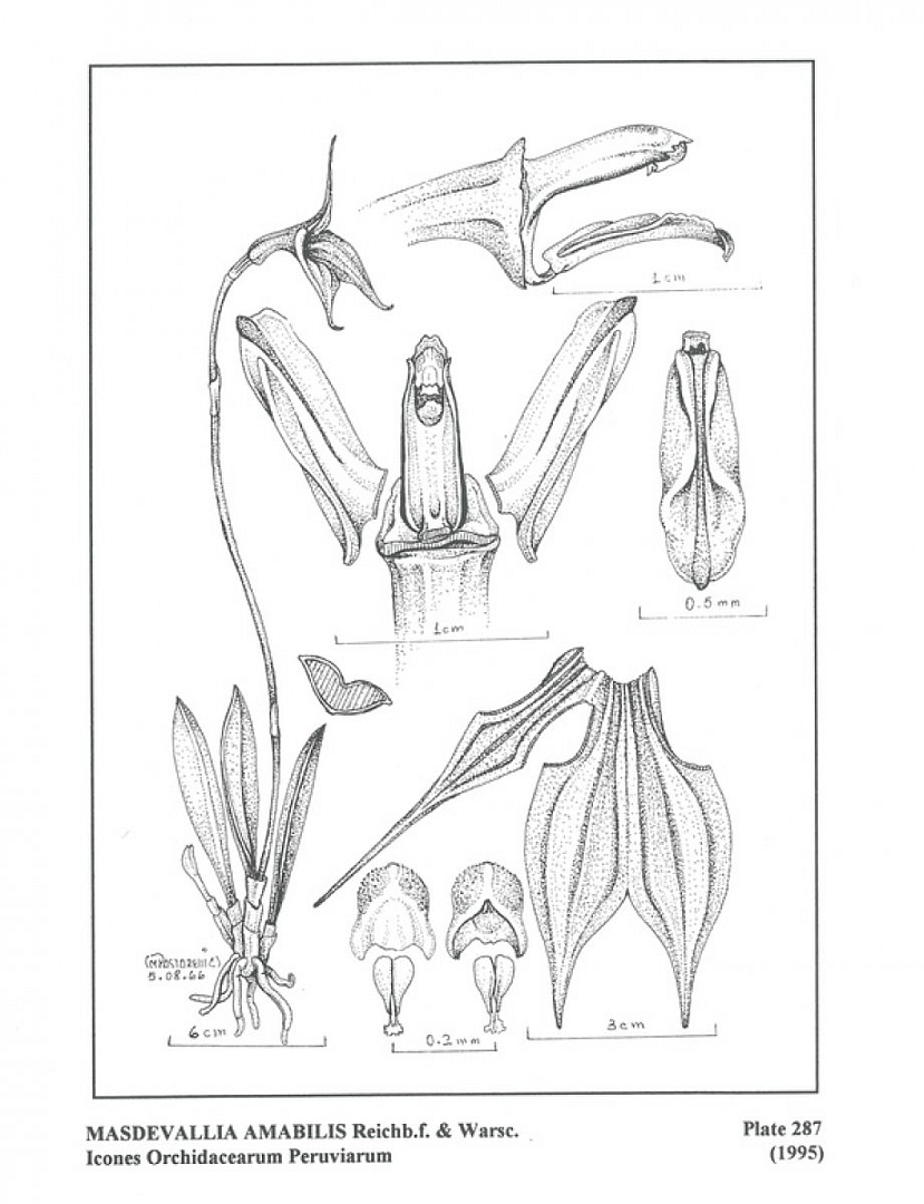 no HD illustration available (3)