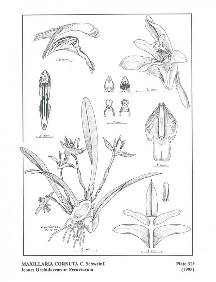 no HD illustration available (3)