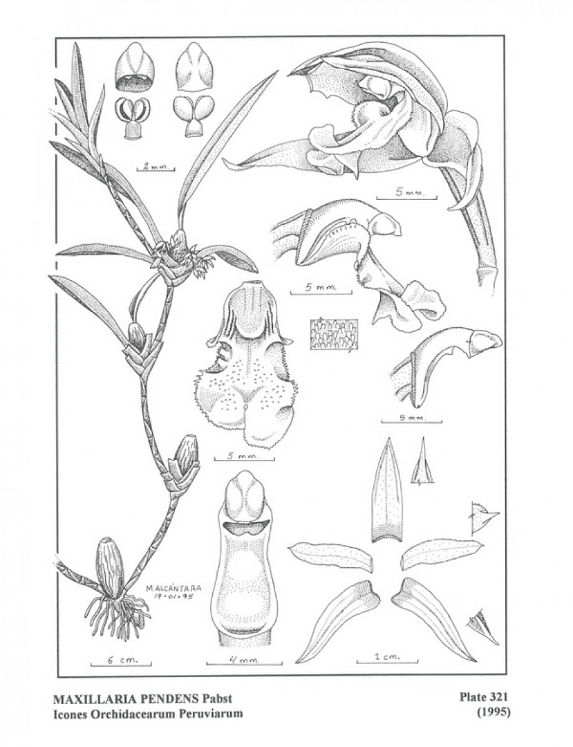 no HD illustration available (3)