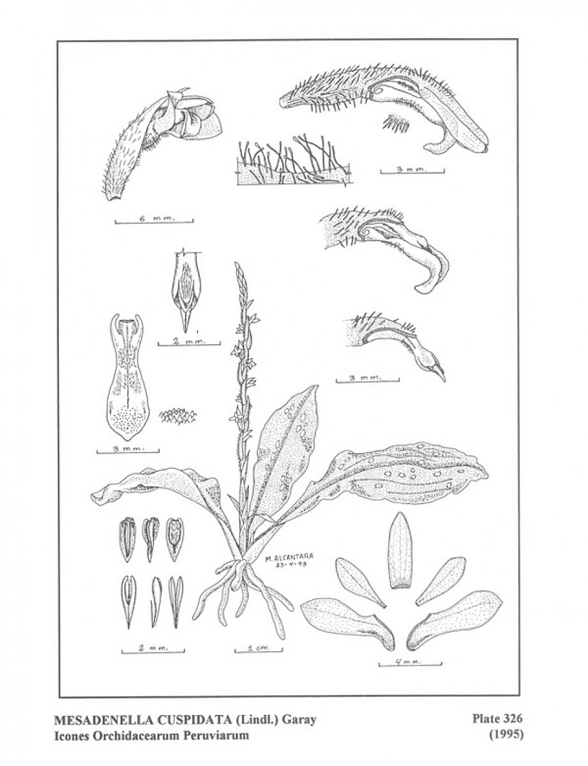 no HD illustration available (3)