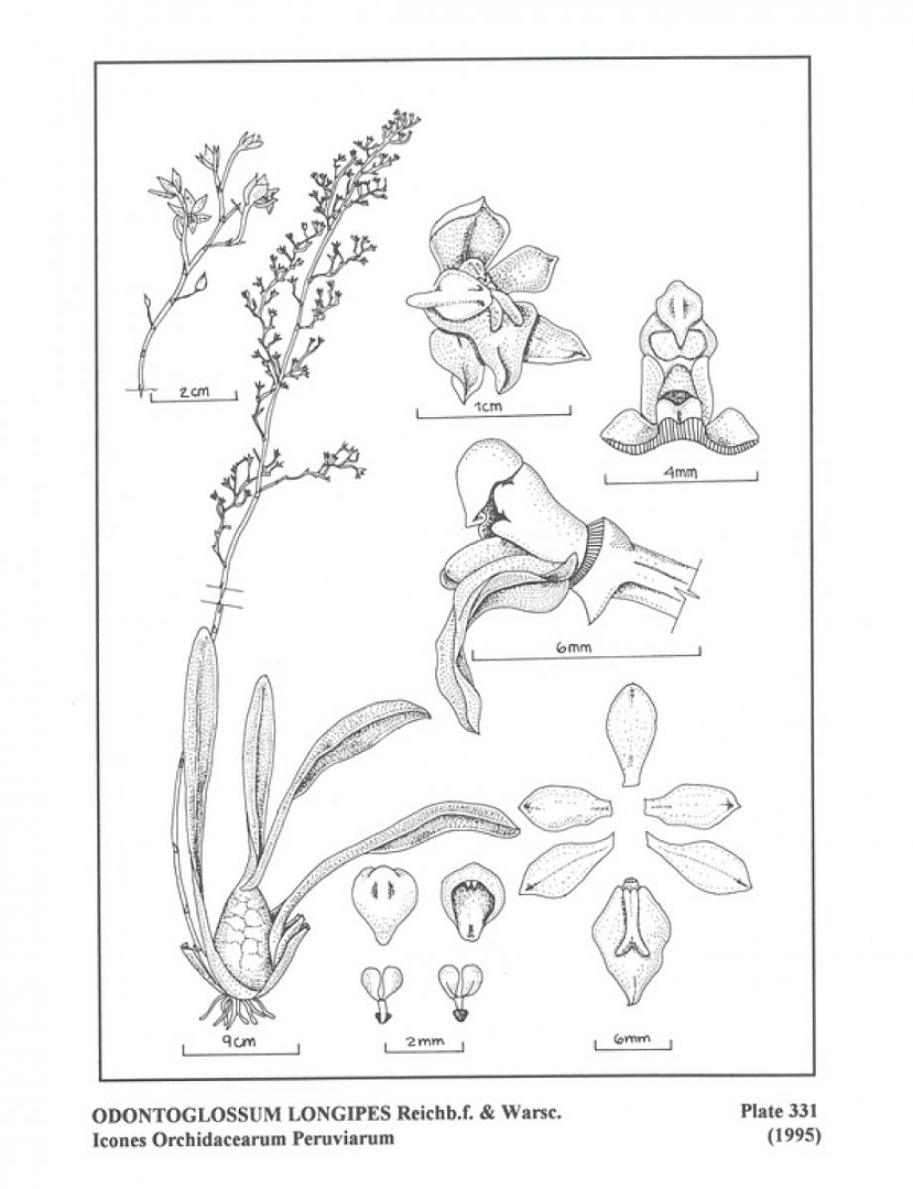 no HD illustration available (3)