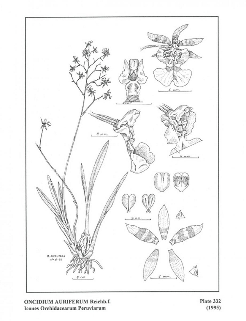 no HD illustration available (3)