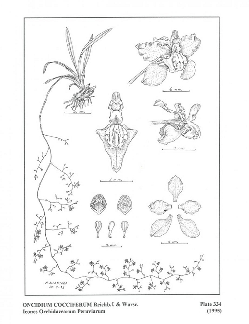 no HD illustration available (3)