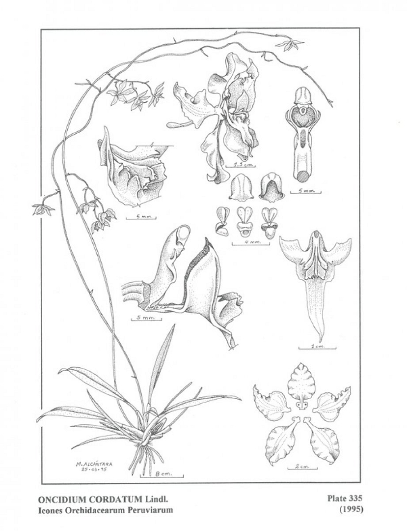 no HD illustration available (3)