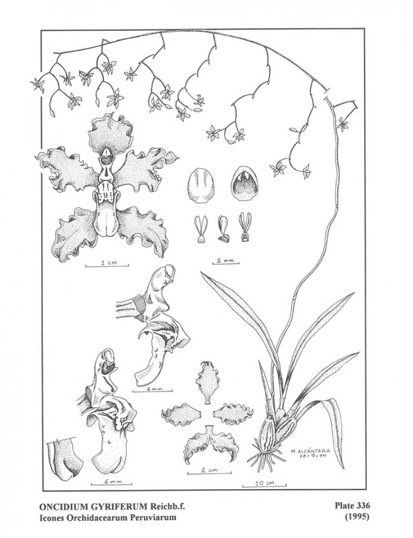 no HD illustration available (3)