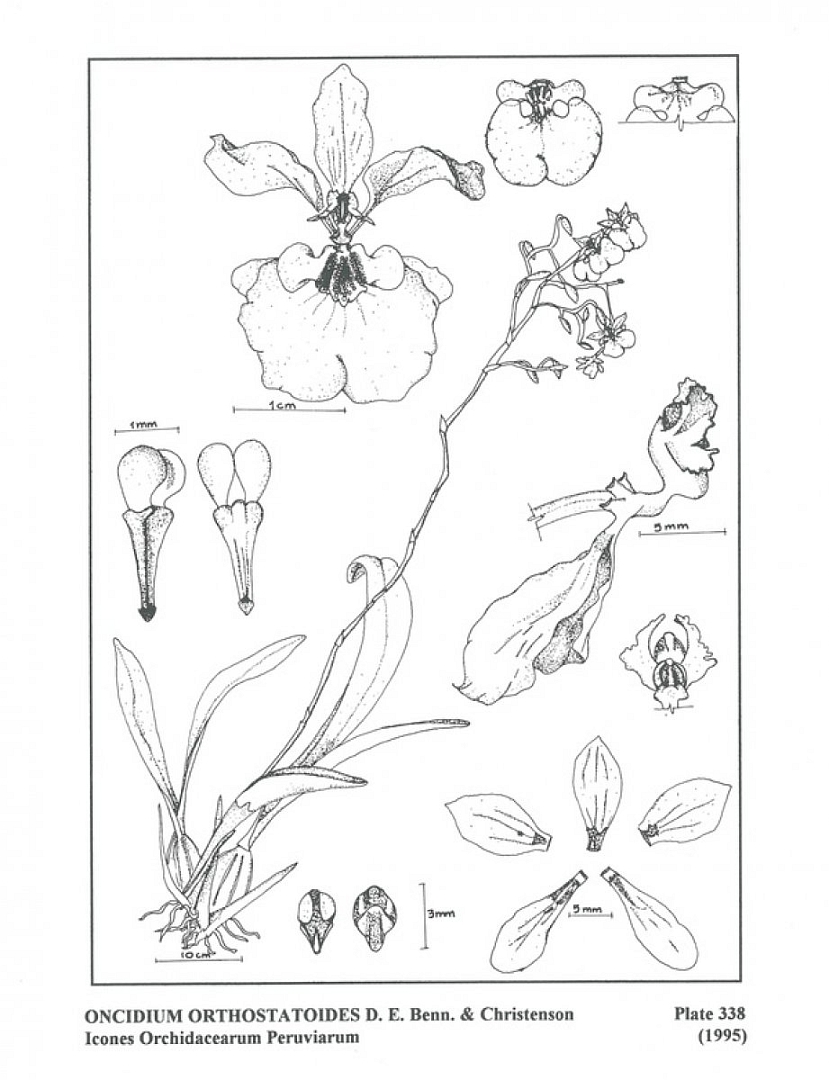 no HD illustration available (3)