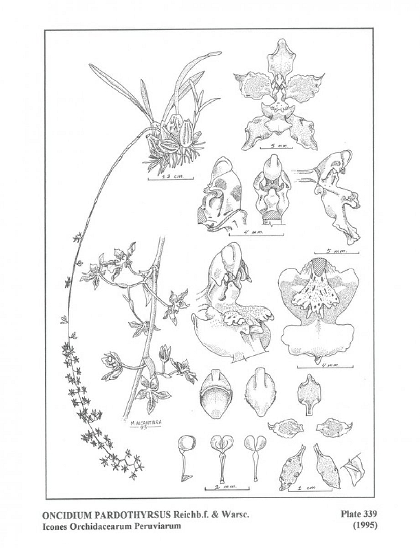 no HD illustration available (3)