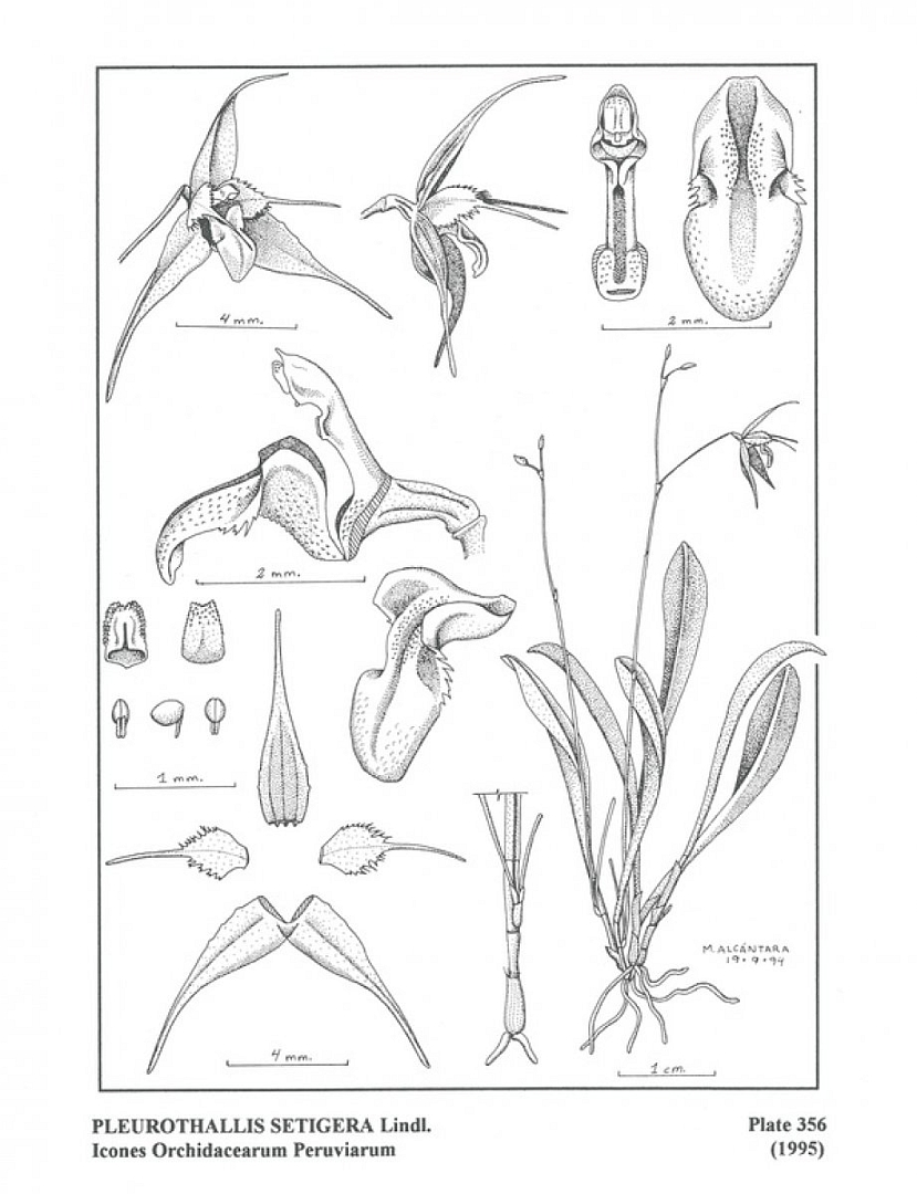no HD illustration available (3)