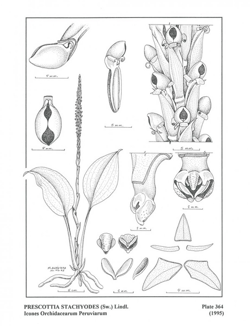 no HD illustration available (3)