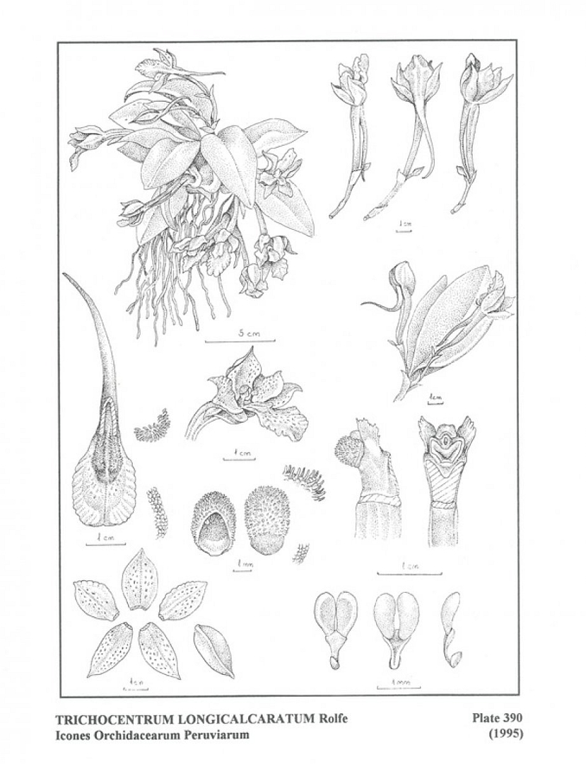 no HD illustration available (3)