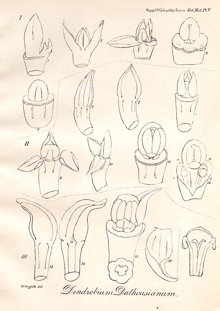 no HD illustration available (3)