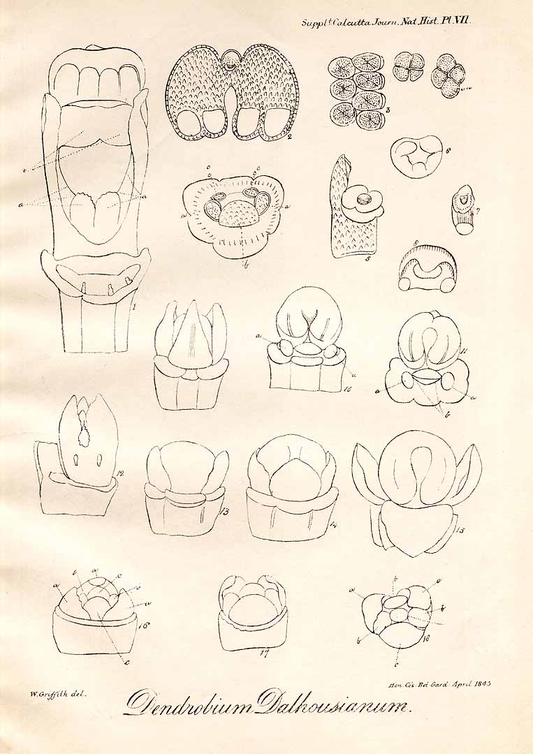 no HD illustration available (3)