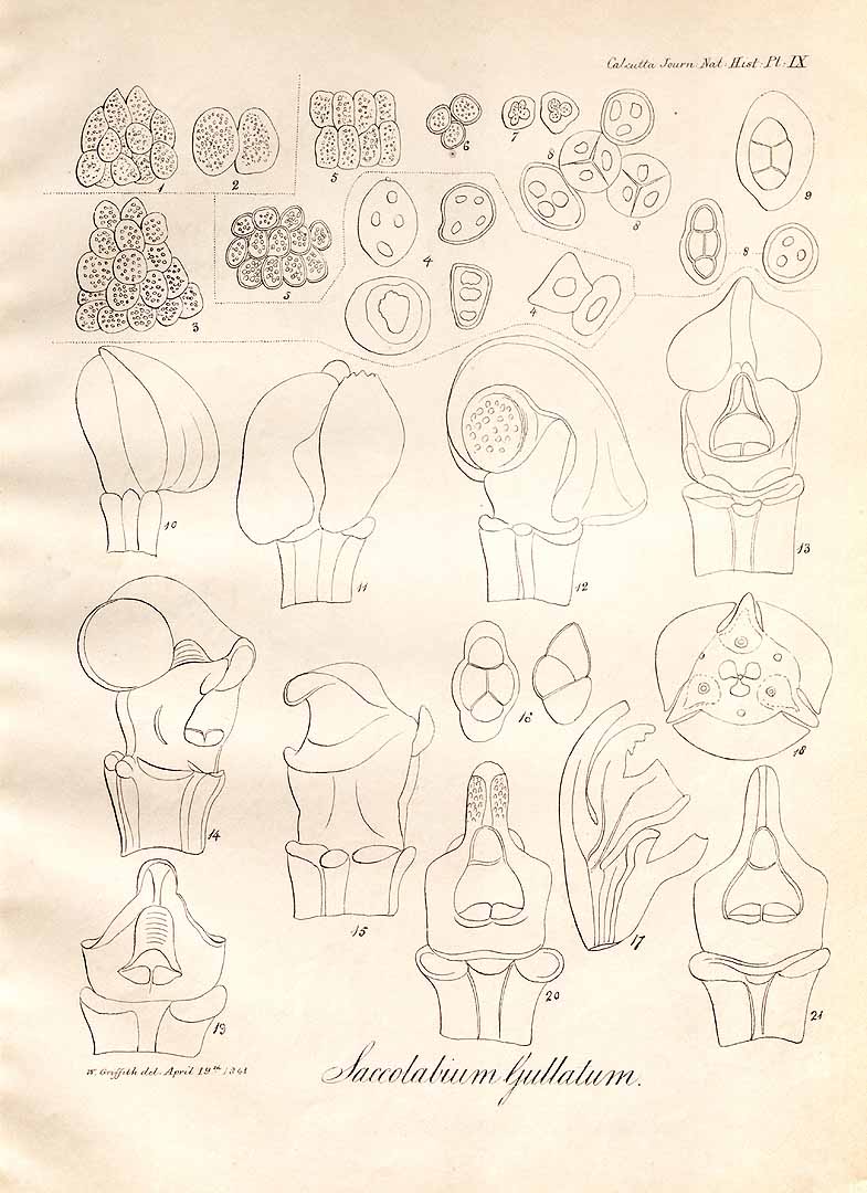 no HD illustration available (3)