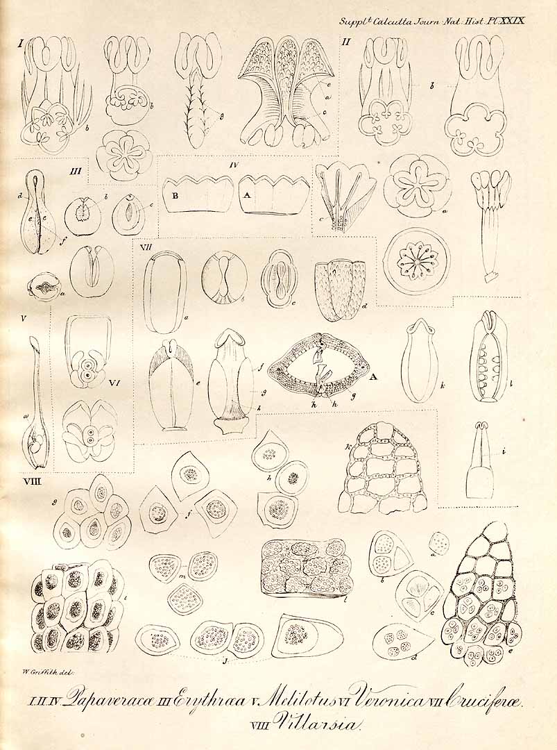 no HD illustration available (m1)