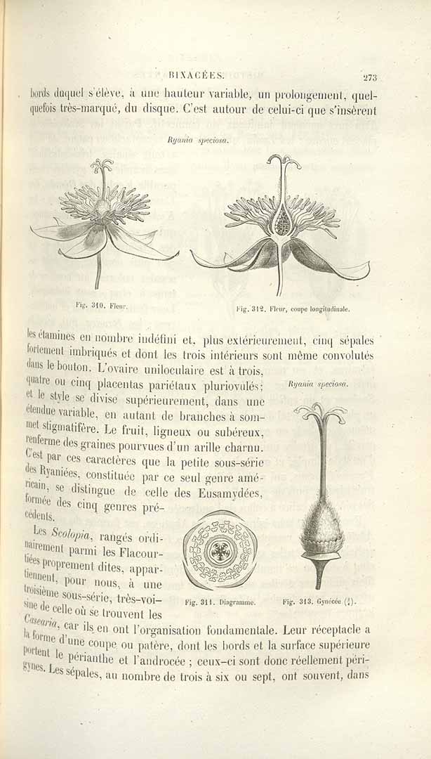 no HD illustration available (m1)