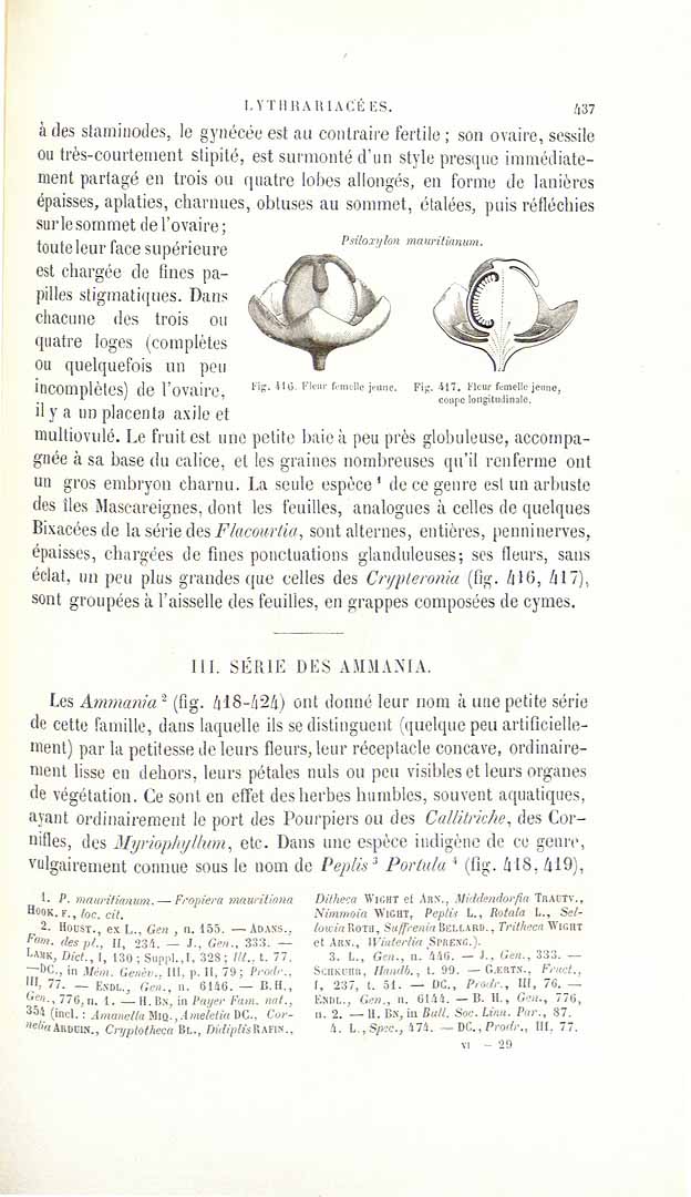 no HD illustration available (3)