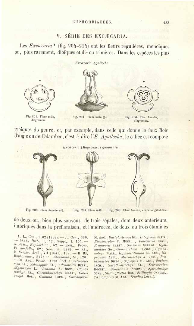 no HD illustration available (3)