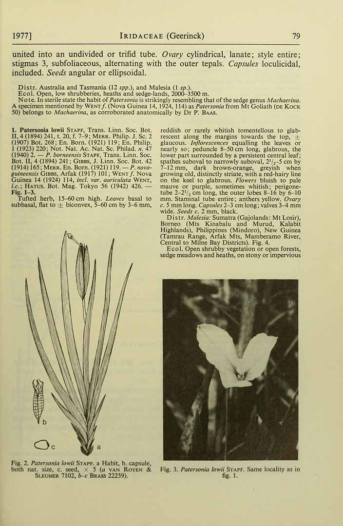 no HD illustration available (3)