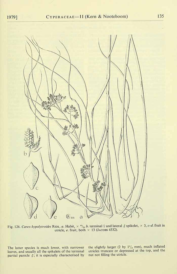 no HD illustration available (3)