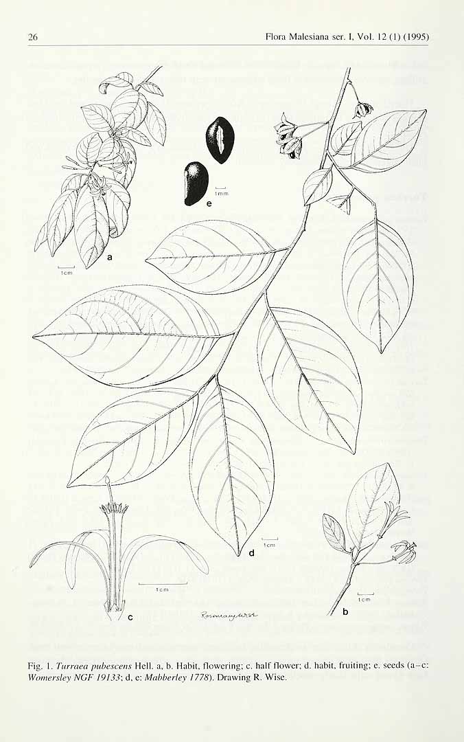no HD illustration available (3)