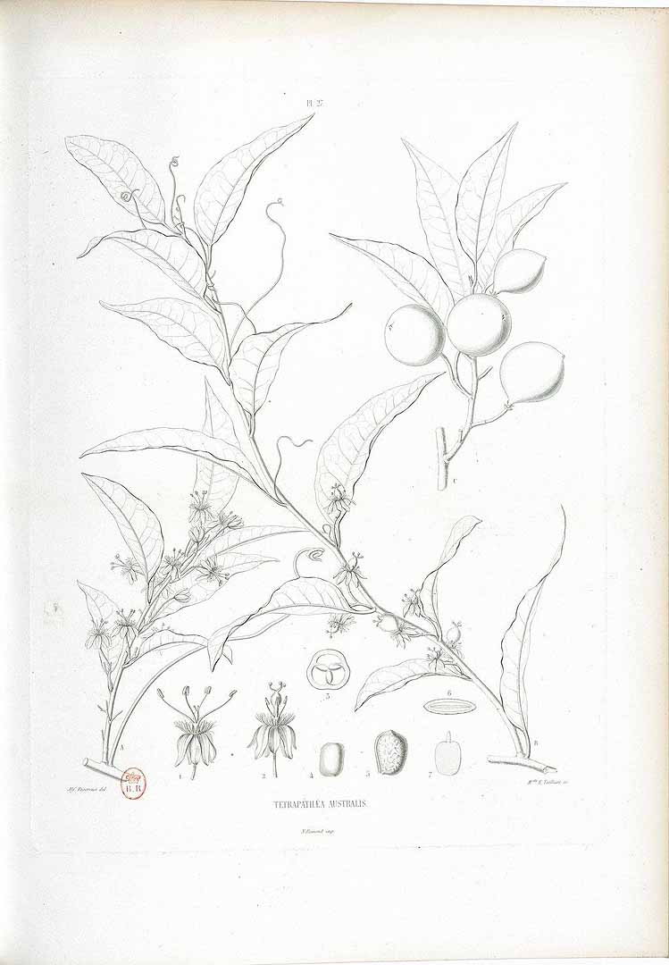 no HD illustration available (3)