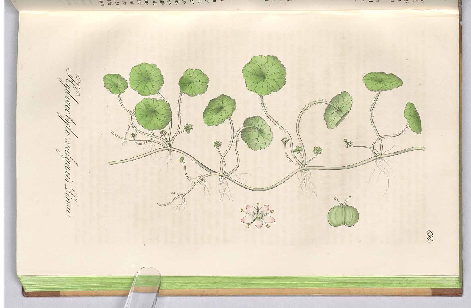 no HD illustration available (3)