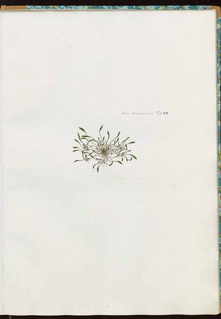 no HD illustration available (3)