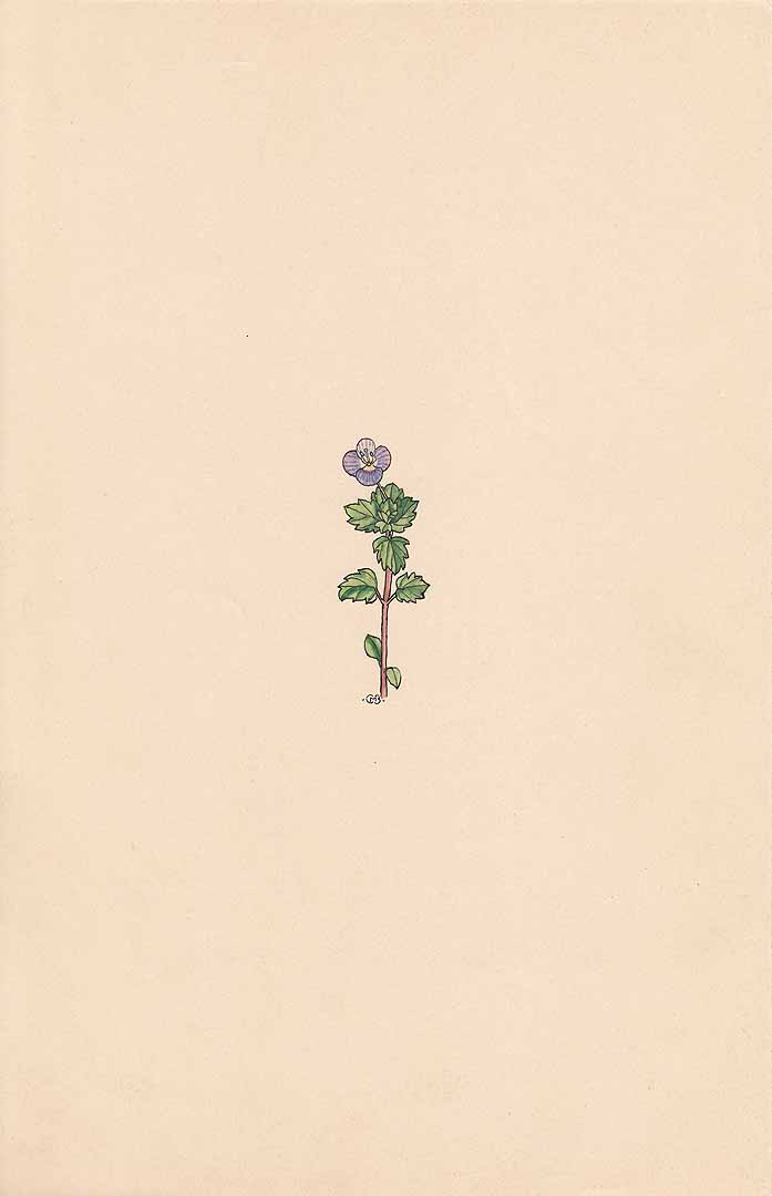 no HD illustration available (3)