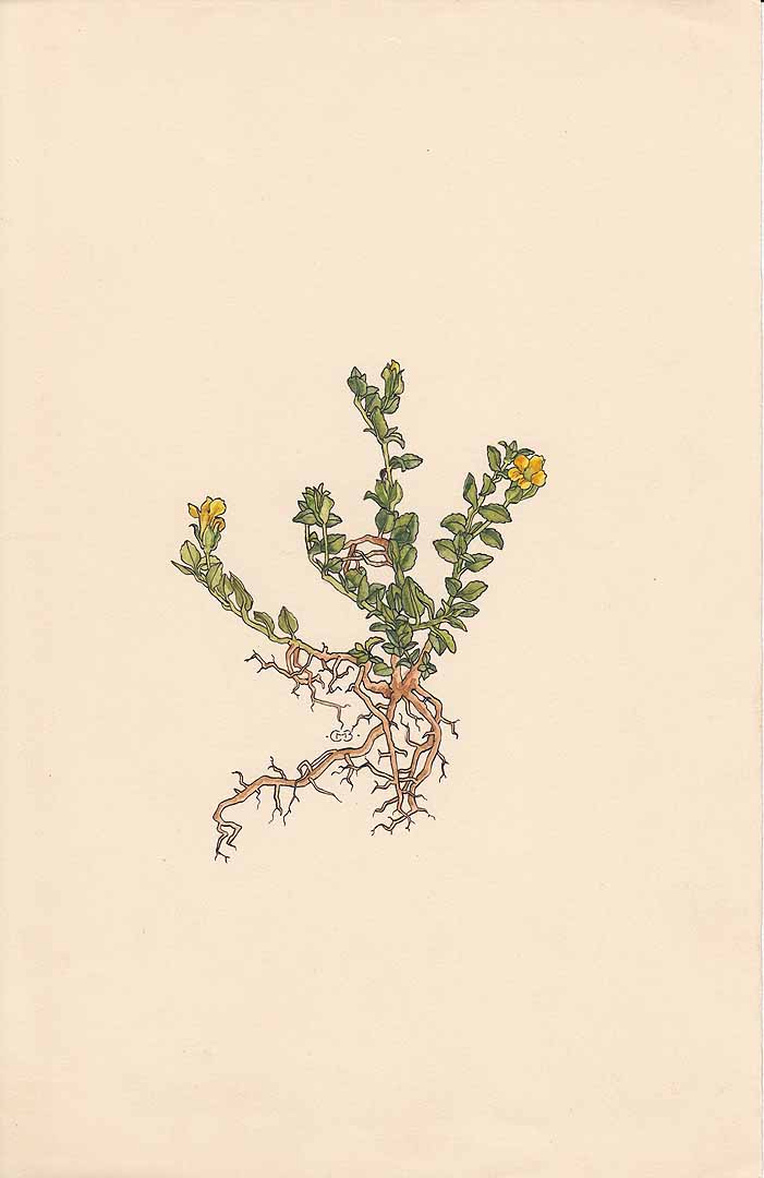 no HD illustration available (3)