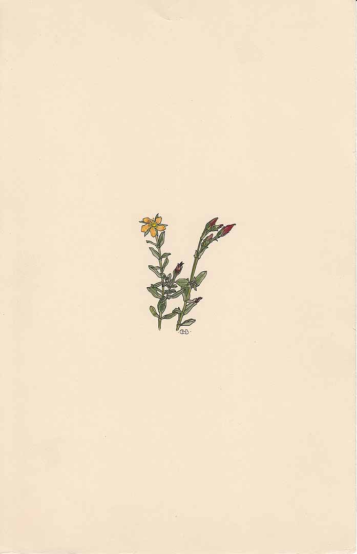 no HD illustration available (m1)