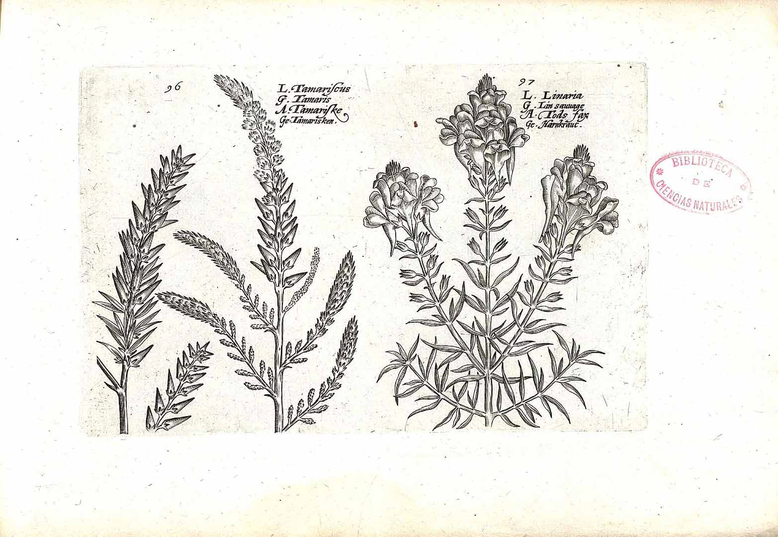 no HD illustration available (3)