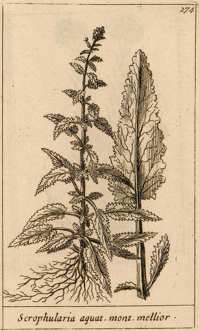 no HD illustration available (3)
