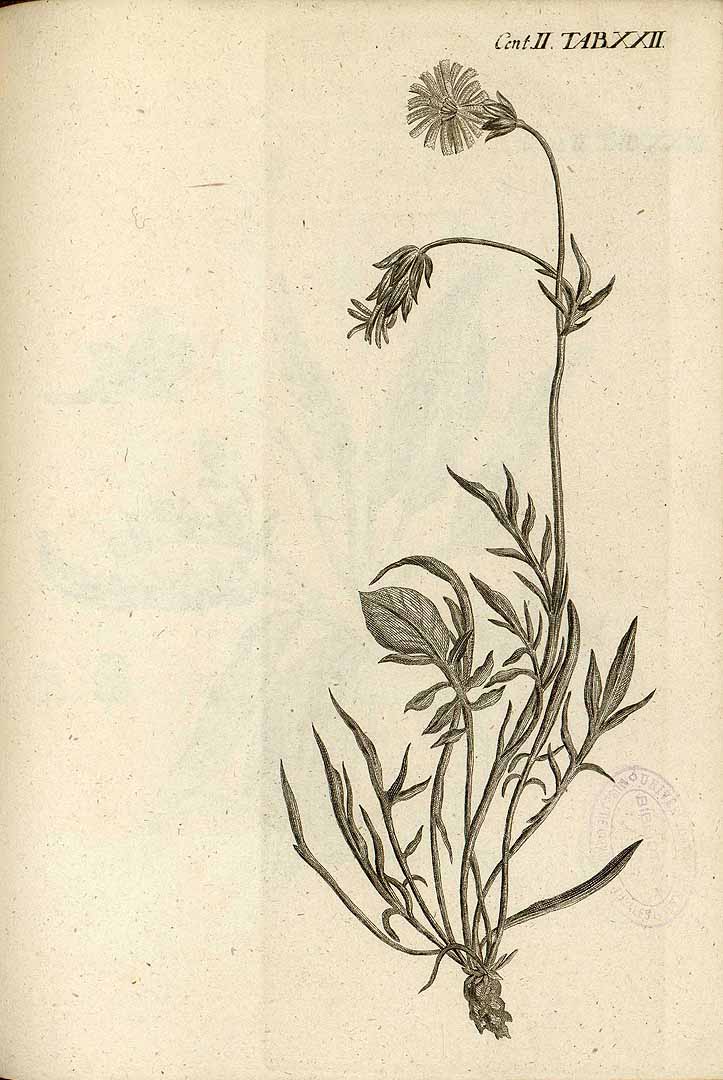 no HD illustration available (m1)