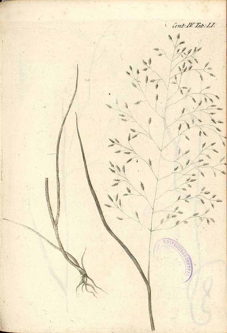 no HD illustration available (3)