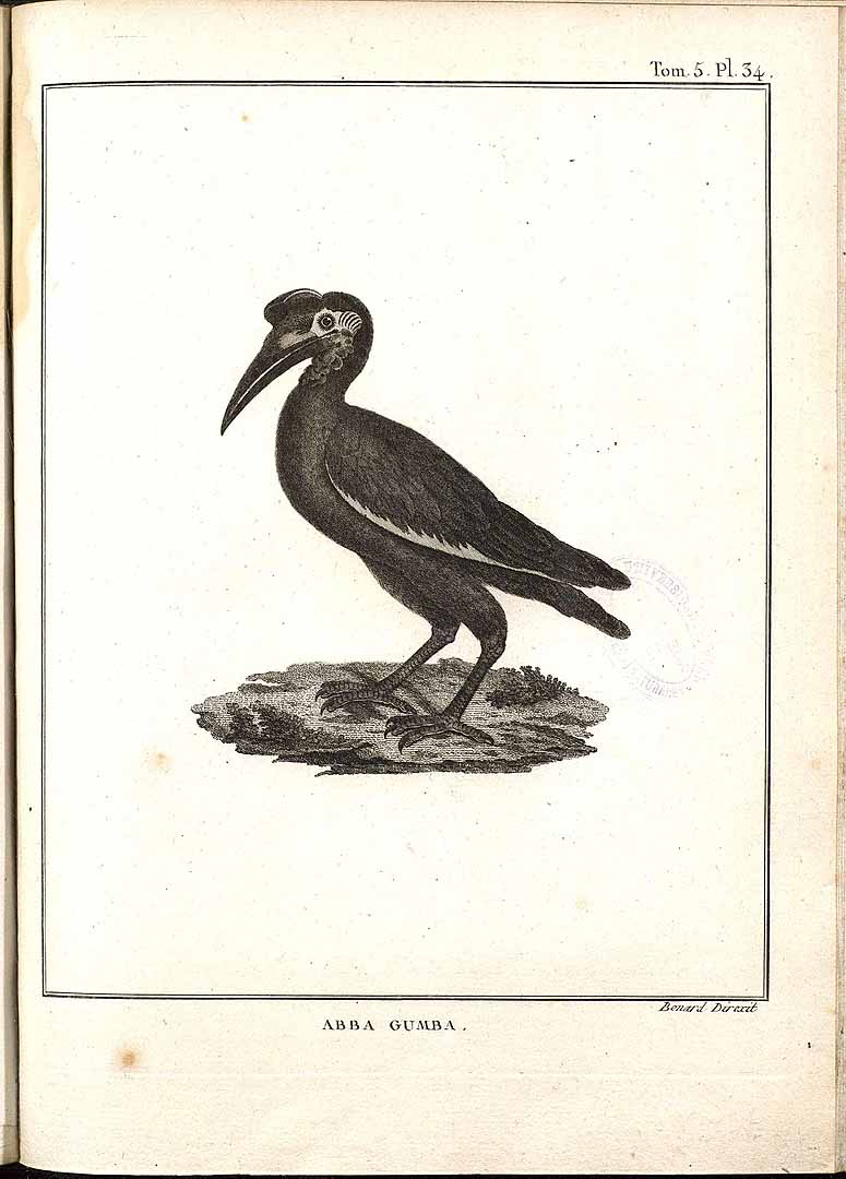 no HD illustration available (3)