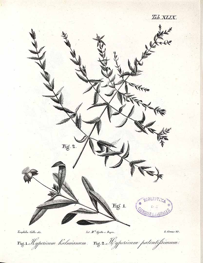 no HD illustration available (3)
