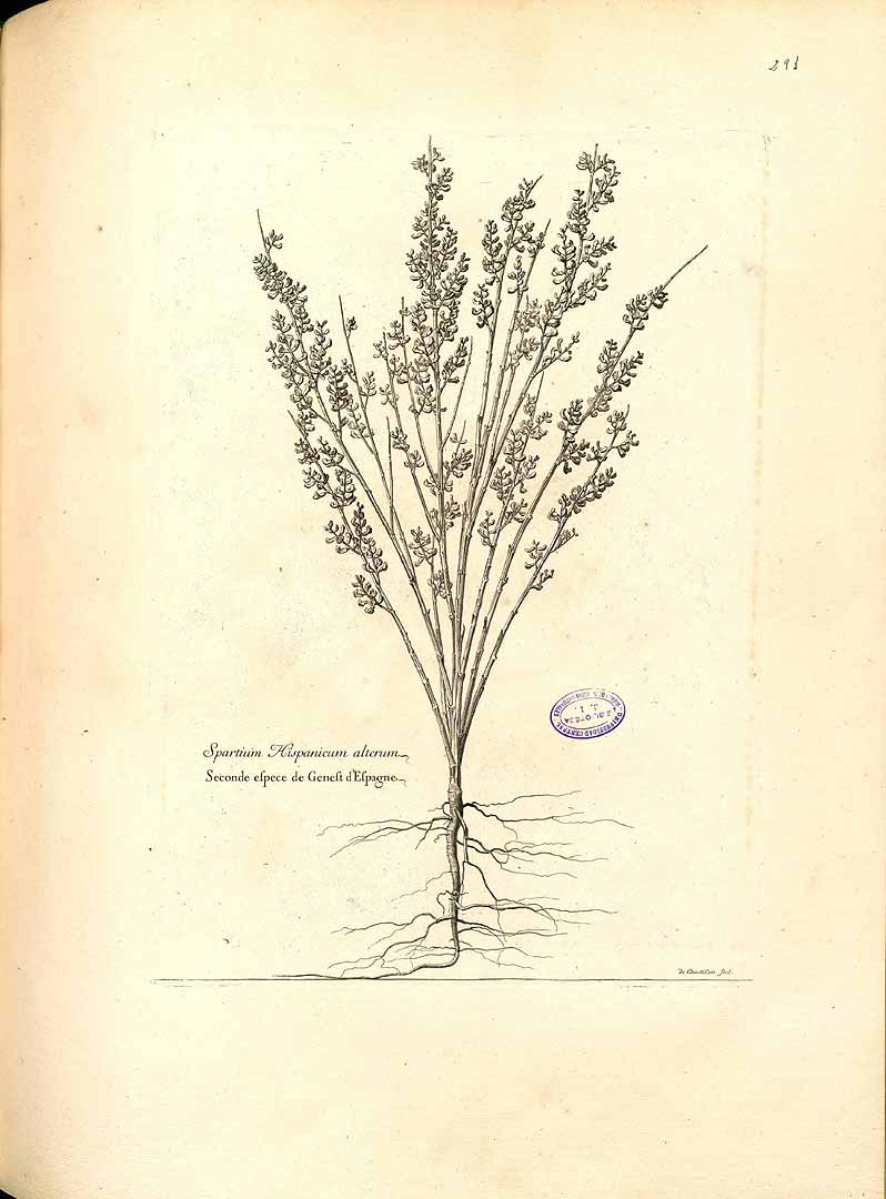 no HD illustration available (m1)