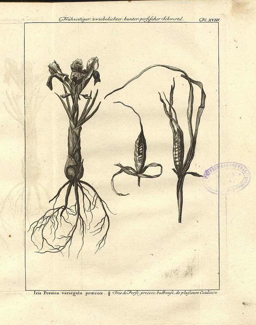 no HD illustration available (3)