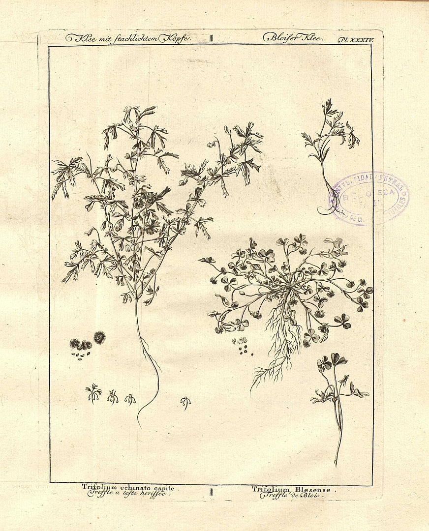 no HD illustration available (3)