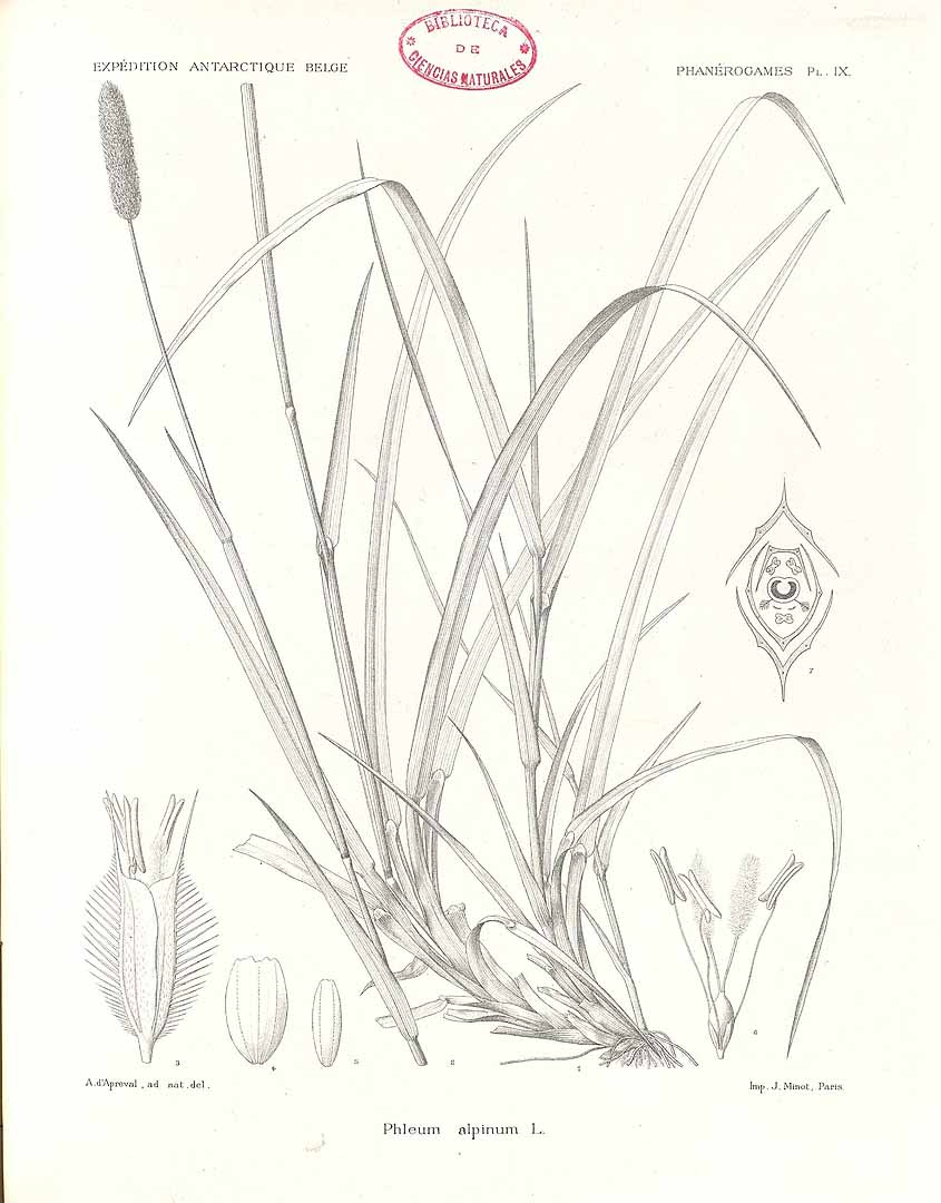 no HD illustration available (3)