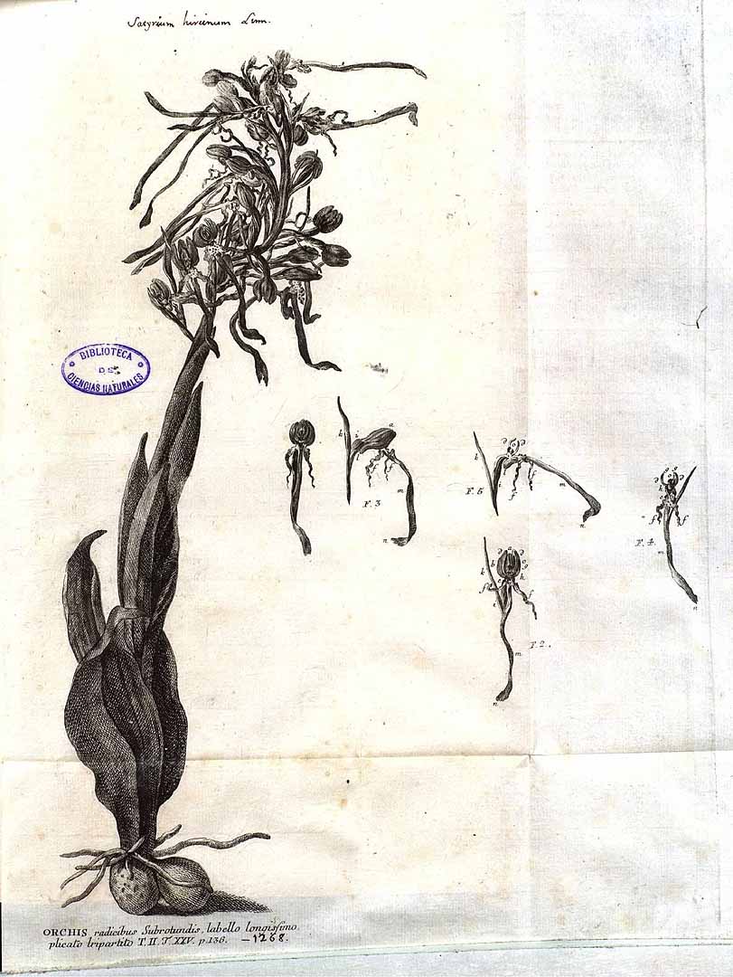 no HD illustration available (3)