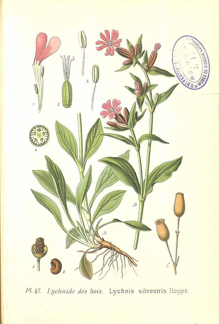 no HD illustration available (3)