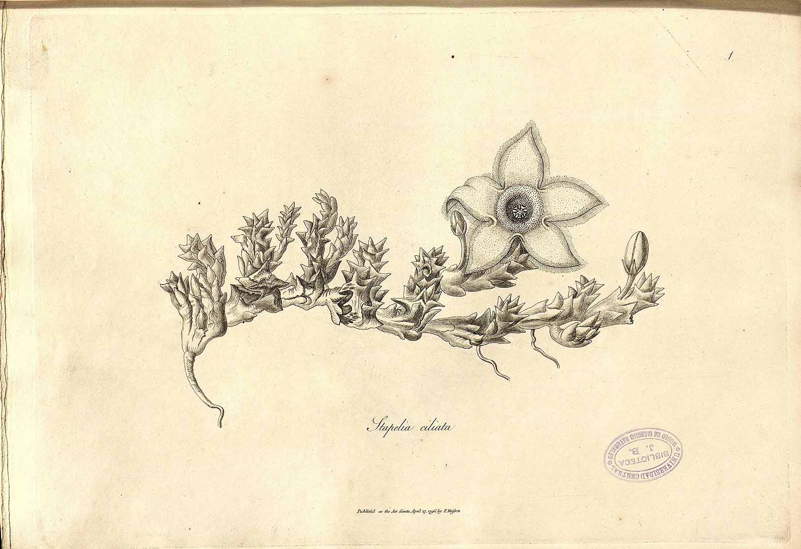 no HD illustration available (3)