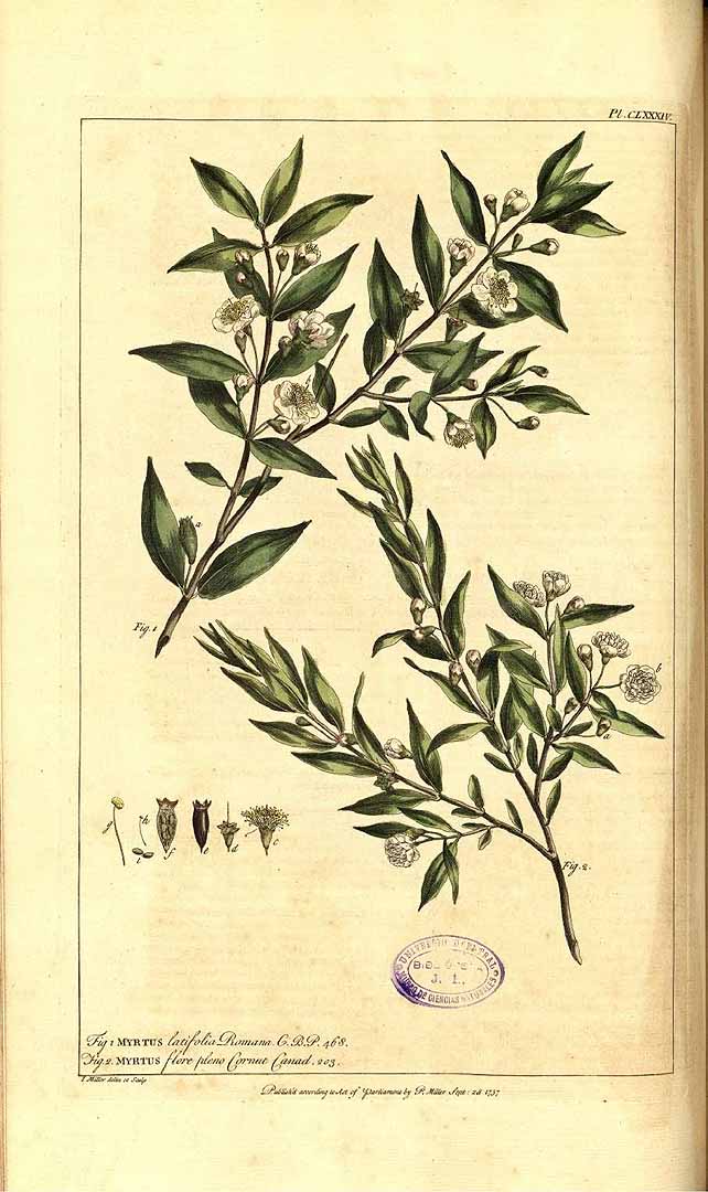 no HD illustration available (3)