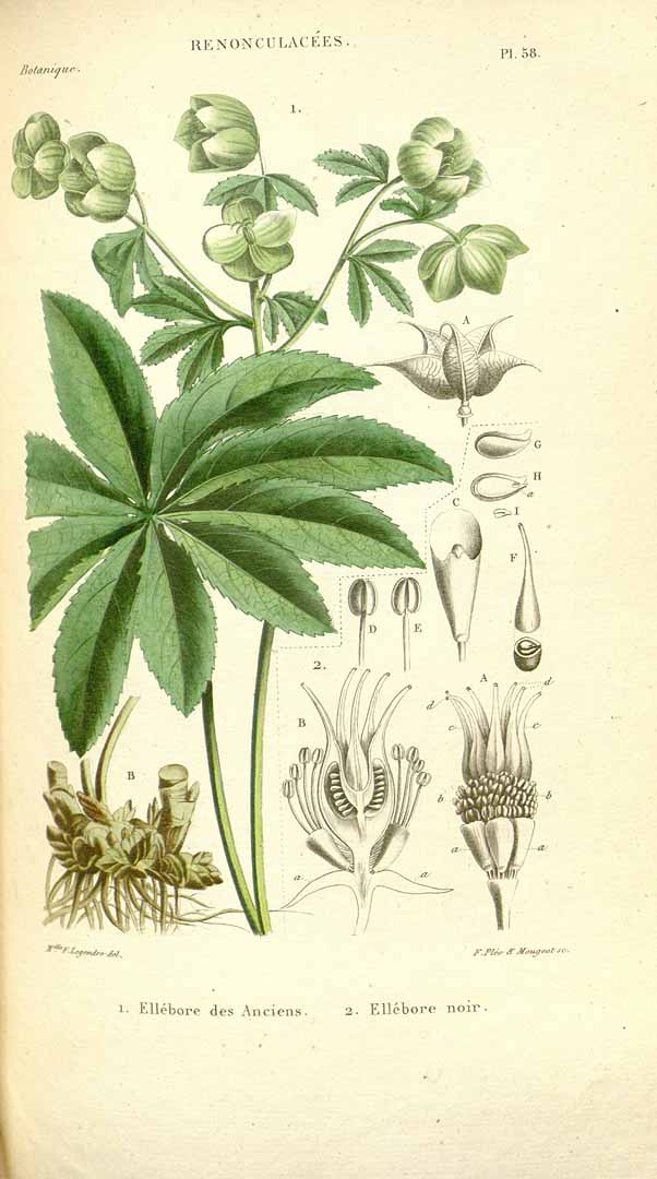 no HD illustration available (3)