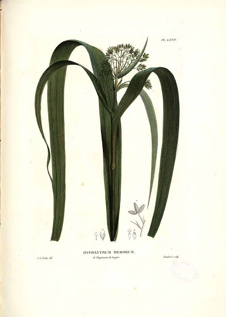 no HD illustration available (3)
