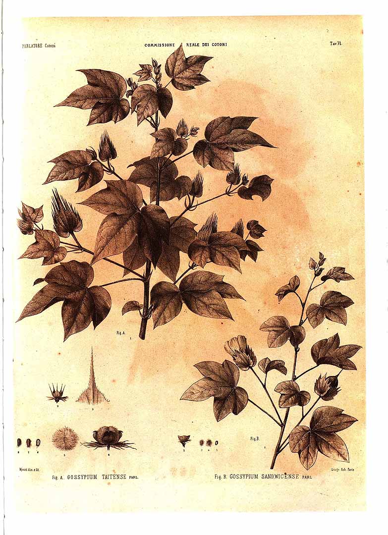 no HD illustration available (3)